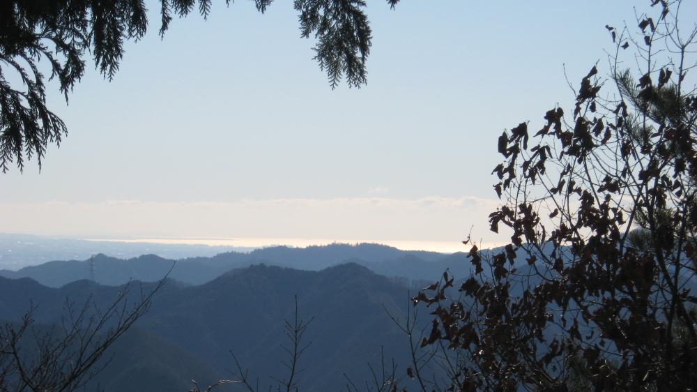 キラキラ輝く東京湾