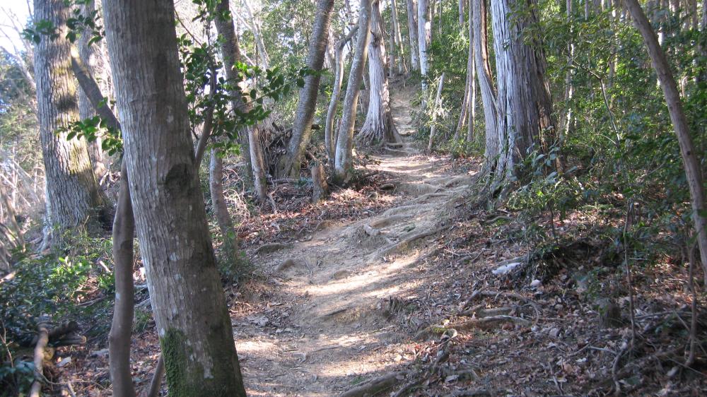 登山道の様子②