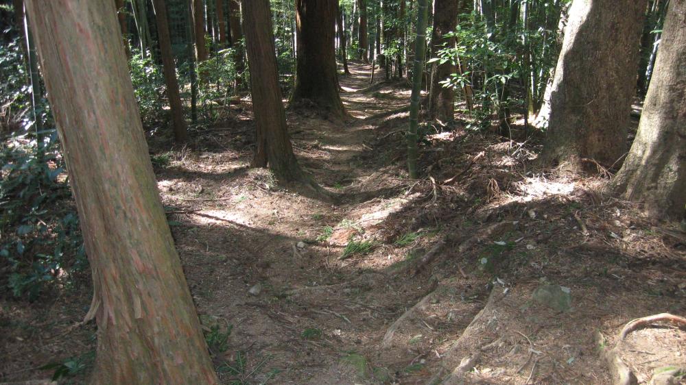 登山道の様子