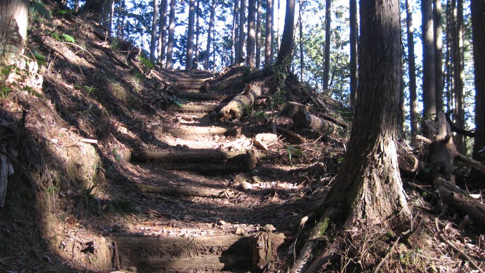 馬頭刈山への登山道①