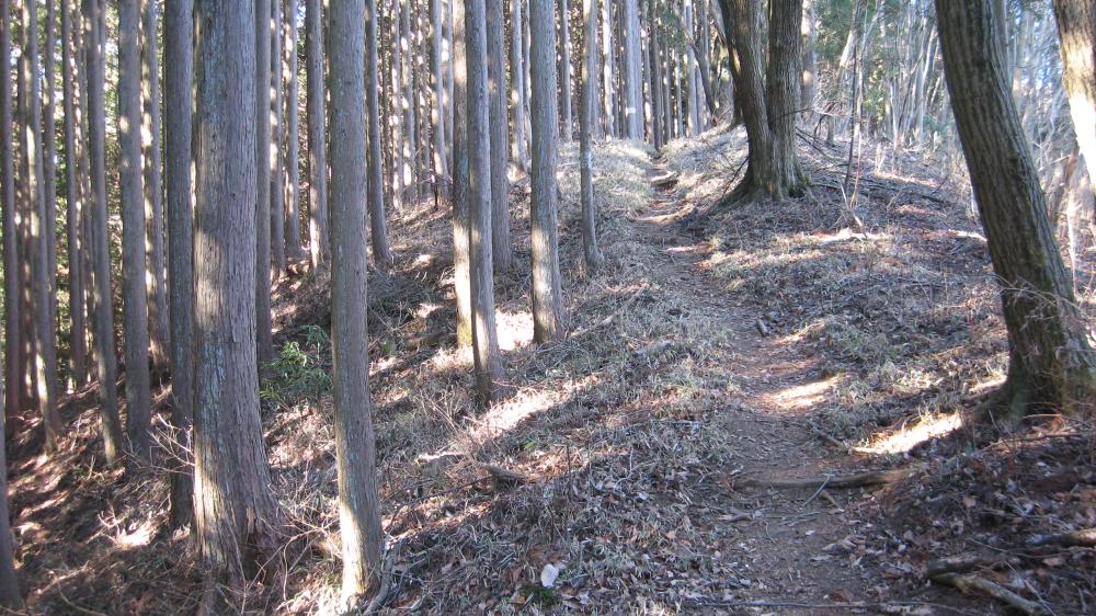 馬頭刈山への登山道②