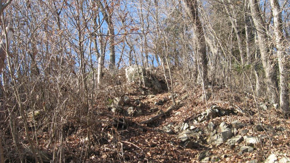 馬頭刈山への登山道③